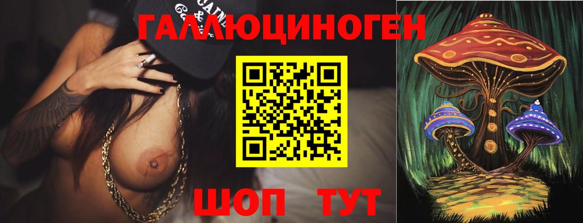 Кострома  Галлюциногенные грибы Psilocybe  купить   Вход с VPN 
