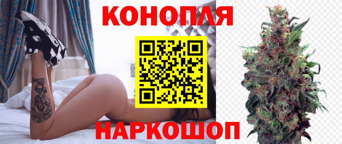 Канабис гибрид Кострома